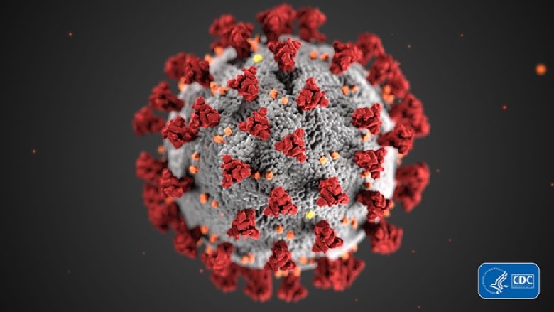 The Centers for Disease Control and Prevention (CDC) created this image to illustrate the ultrastructural morphology exhibited by coronaviruses. The illness caused by this virus is named coronavirus disease 2019 (COVID-19)